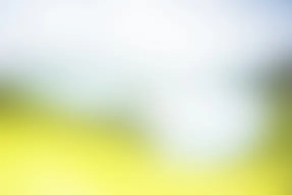 PocketWin Cazino Cazinou Suport